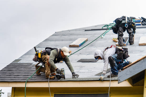 Professional Storm Damage Roof Repair technician working in Hartsel, CO